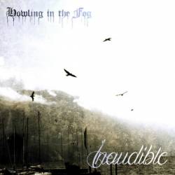 Howling In The Fog : Inaudible